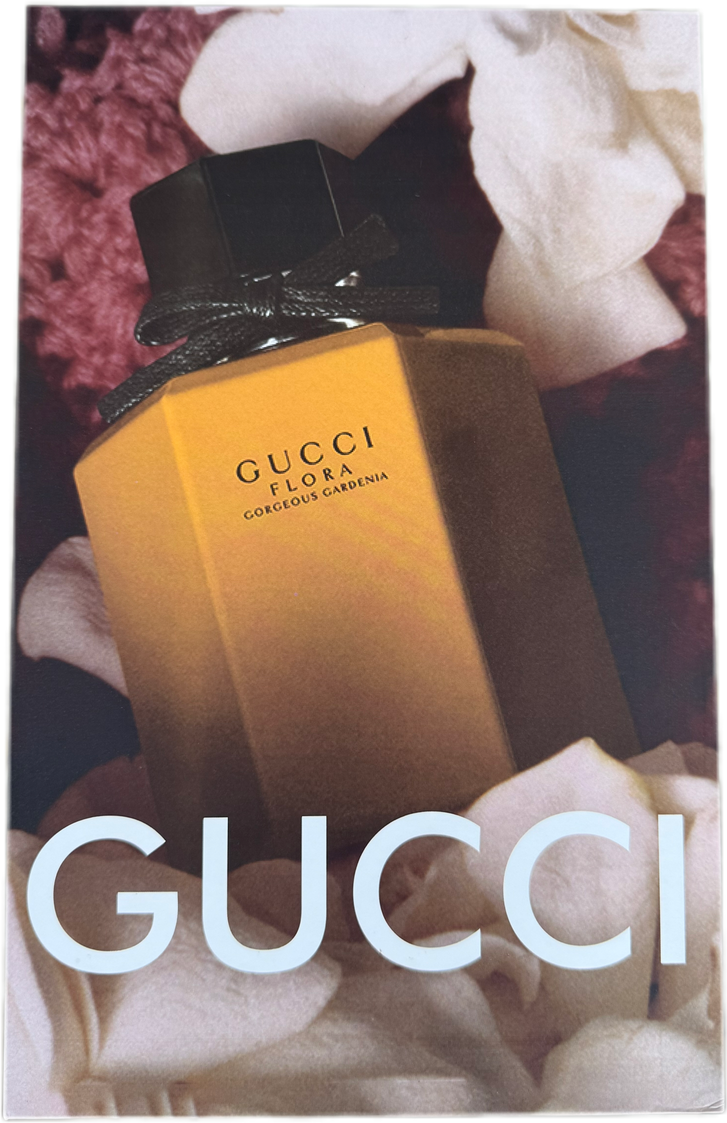 gucci libro